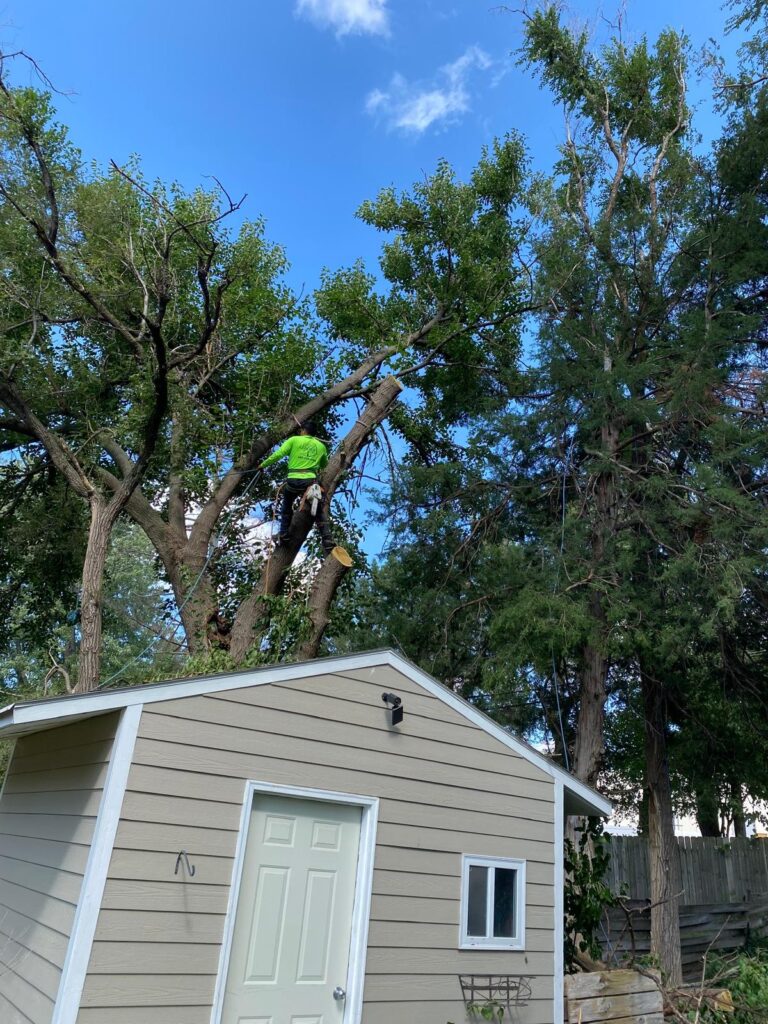 whatsapp image 2026 01 15 at 10.11.29 pm