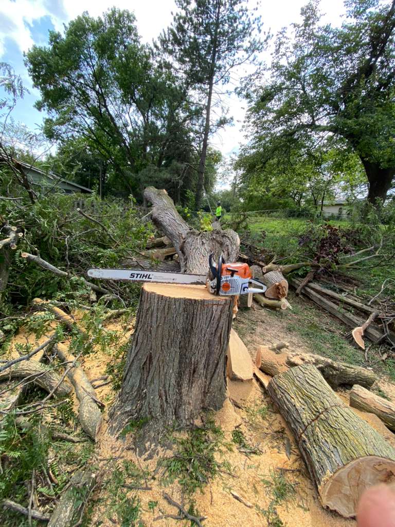 whatsapp image 2026 01 15 at 10.34.43 pm