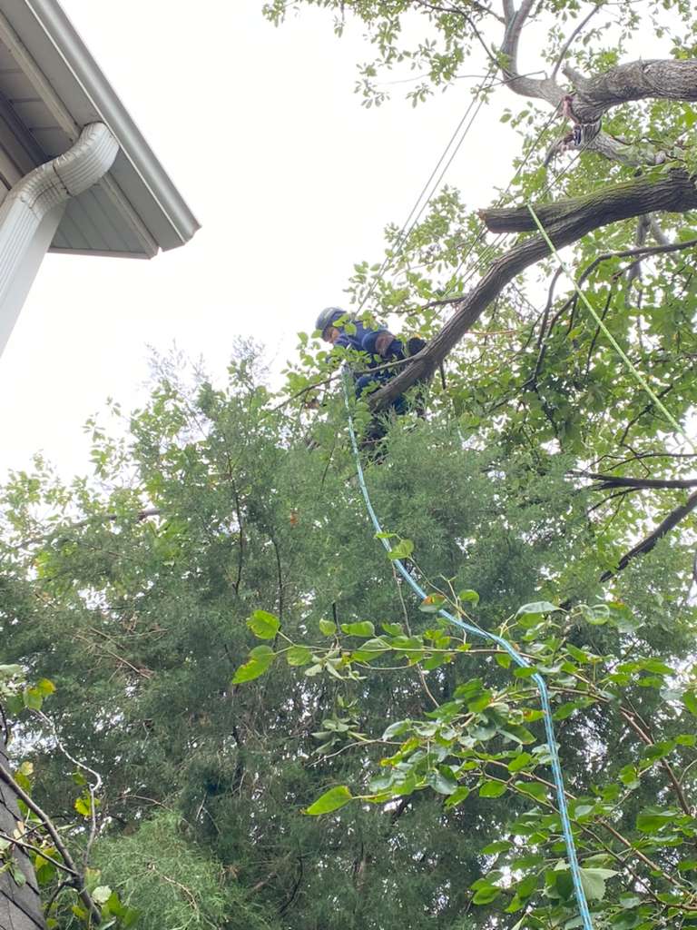 whatsapp image 2026 01 15 at 11.12.53 pm