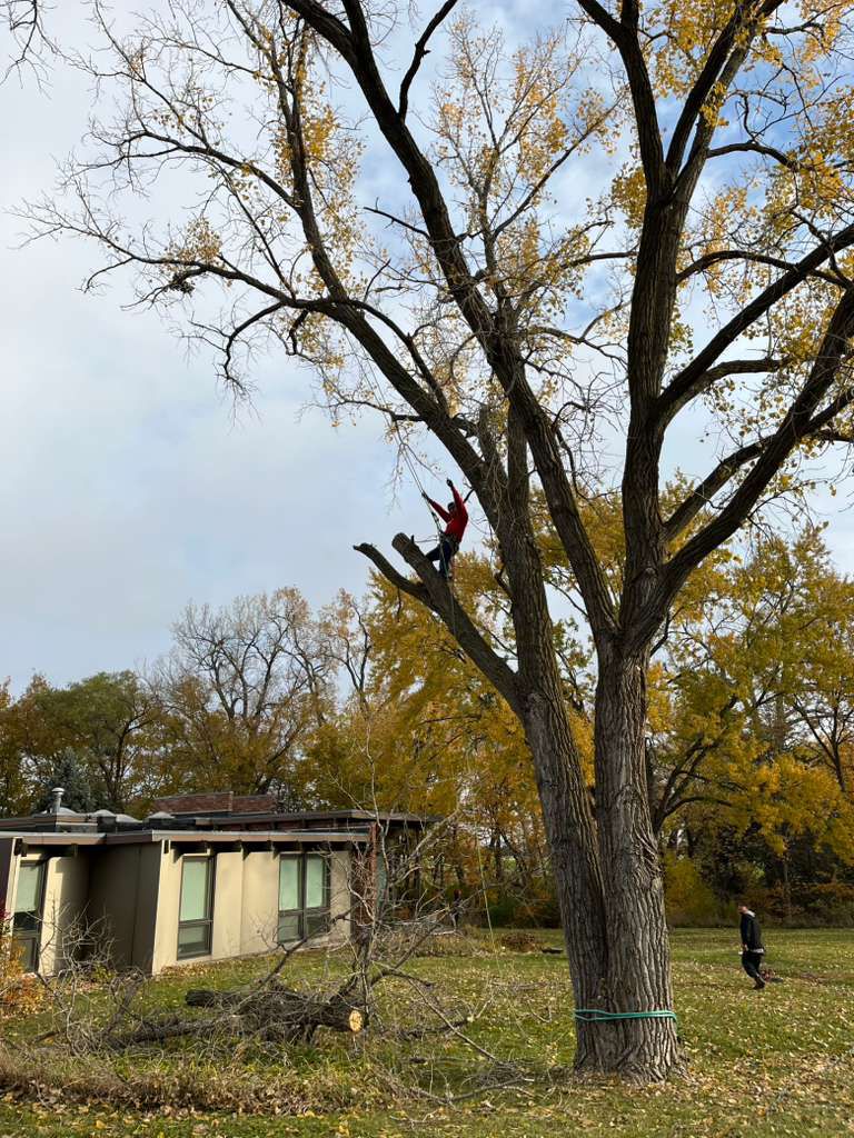 whatsapp image 2026 01 15 at 11.13.34 pm