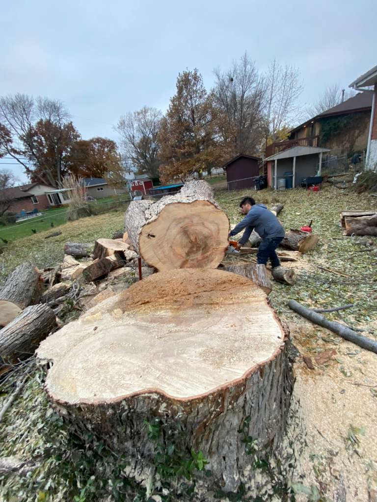 whatsapp image 2026 01 15 at 11.20.07 pm