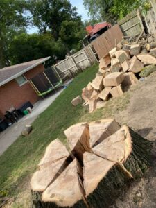 whatsapp image 2026 01 15 at 11.48.27 pm (1)