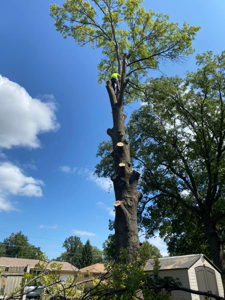 whatsapp image 2026 01 15 at 11.48.27 pm