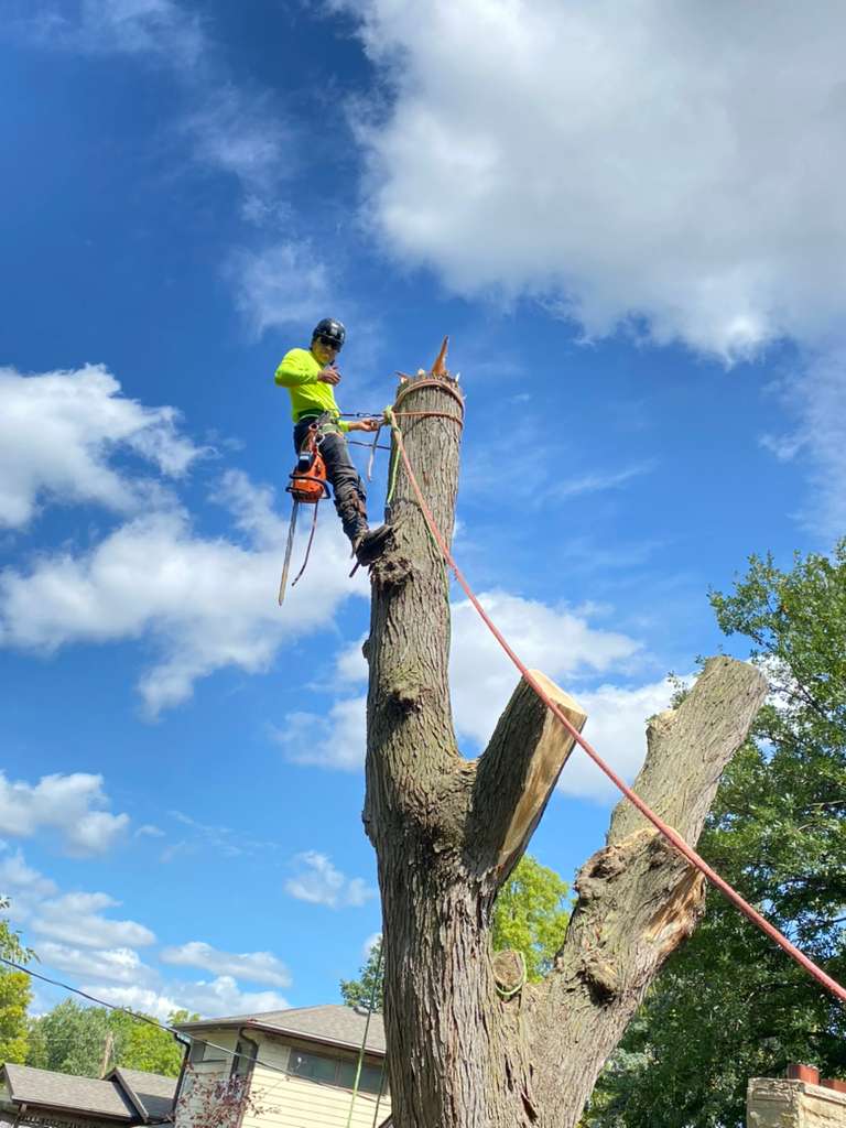 whatsapp image 2026 01 15 at 11.48.28 pm (1)