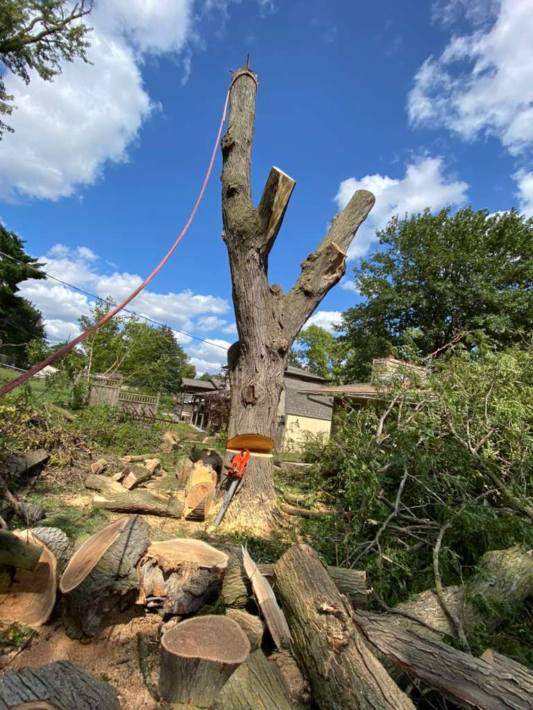 whatsapp image 2026 01 15 at 11.48.28 pm (2)