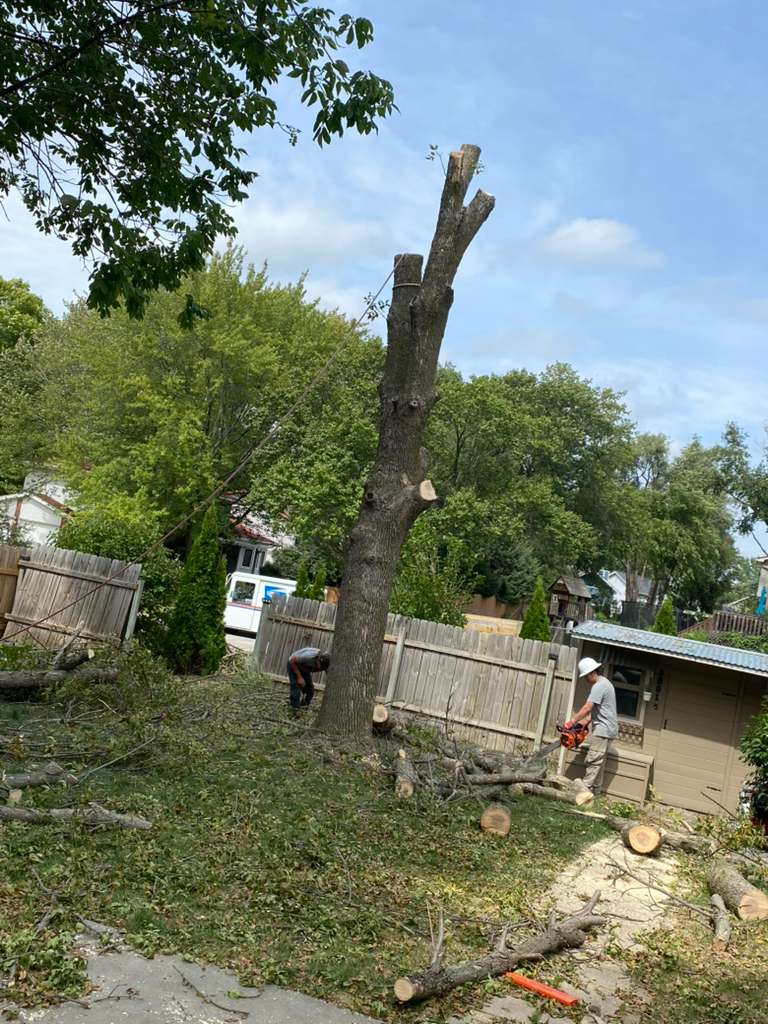 whatsapp image 2026 01 15 at 11.48.28 pm (3)