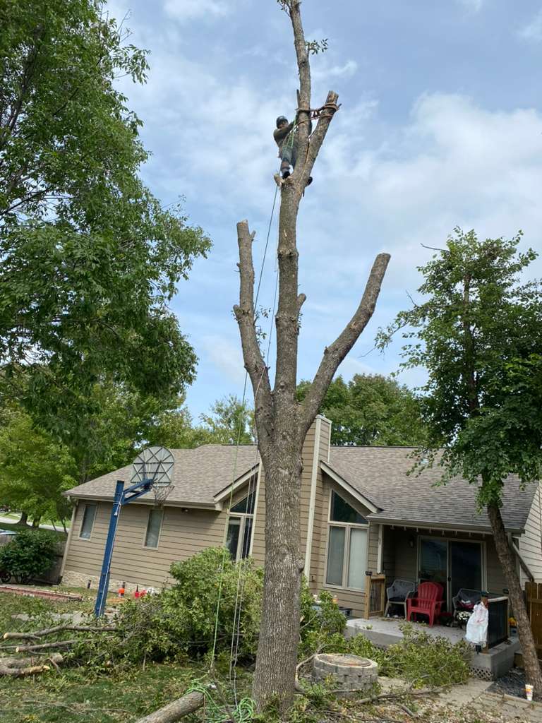 whatsapp image 2026 01 15 at 11.48.28 pm (4)