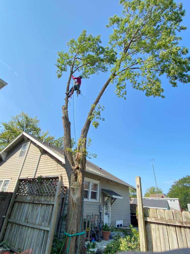 whatsapp image 2026 01 15 at 11.48.28 pm (5)