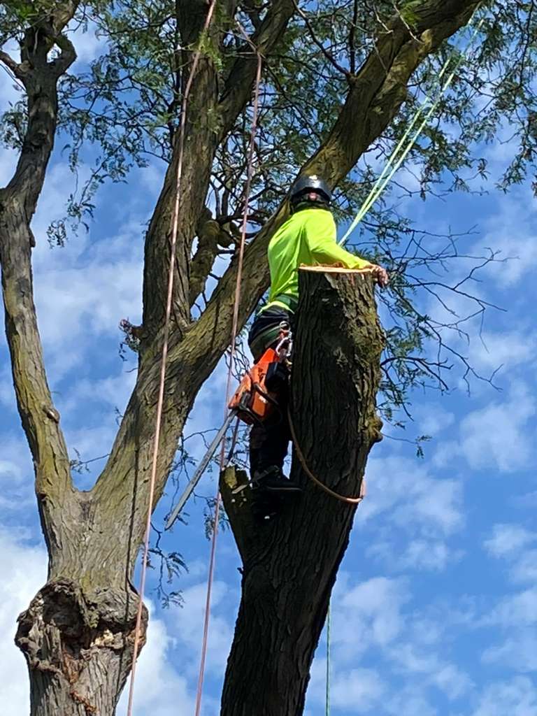 whatsapp image 2026 01 15 at 11.48.28 pm