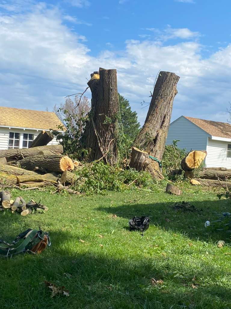 whatsapp image 2026 01 15 at 11.48.29 pm (1)