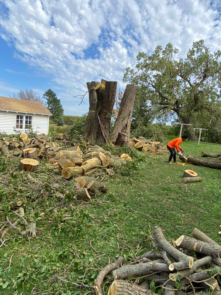 whatsapp image 2026 01 15 at 11.48.29 pm (2)