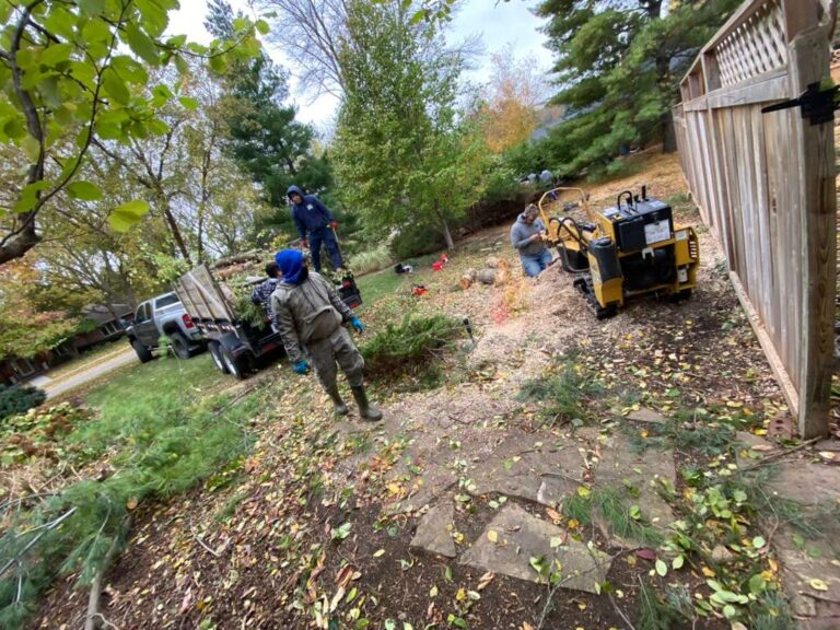 whatsapp image 2026 01 15 at 11.48.30 pm (1)