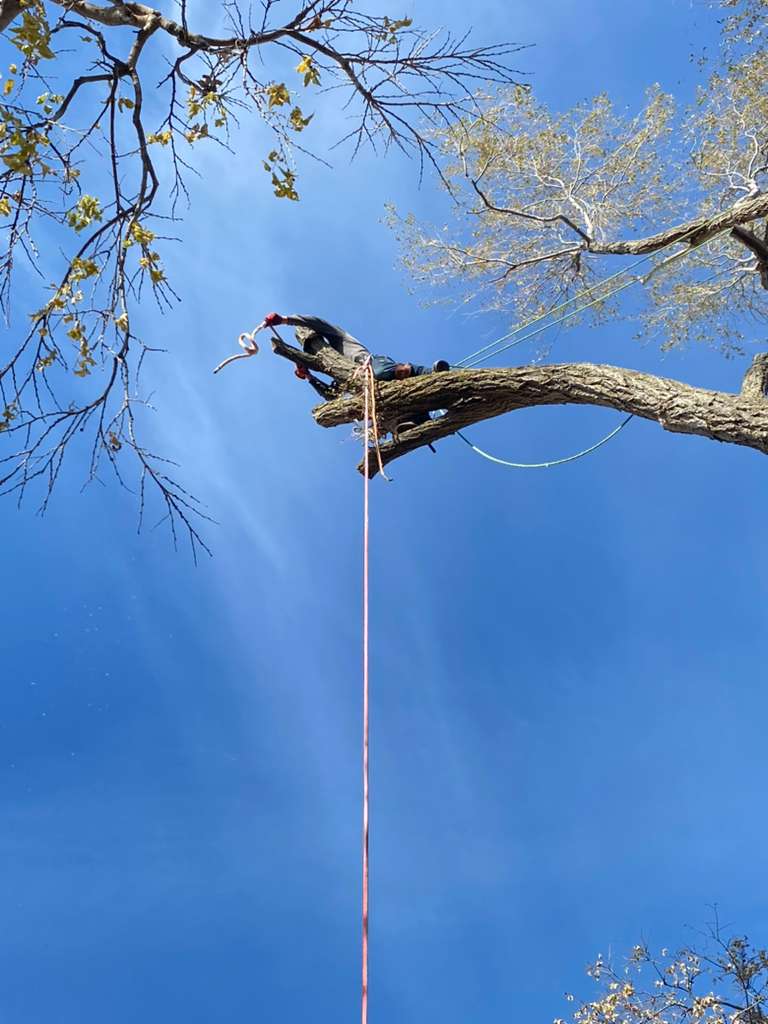 whatsapp image 2026 01 15 at 11.48.30 pm (2)