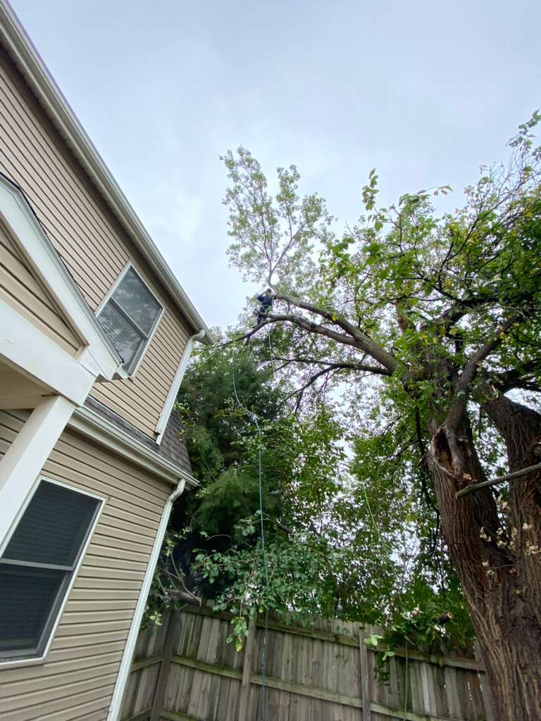 whatsapp image 2026 01 15 at 11.48.30 pm