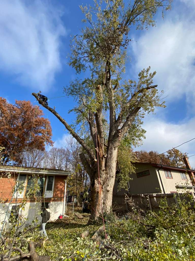 whatsapp image 2026 01 15 at 11.48.31 pm