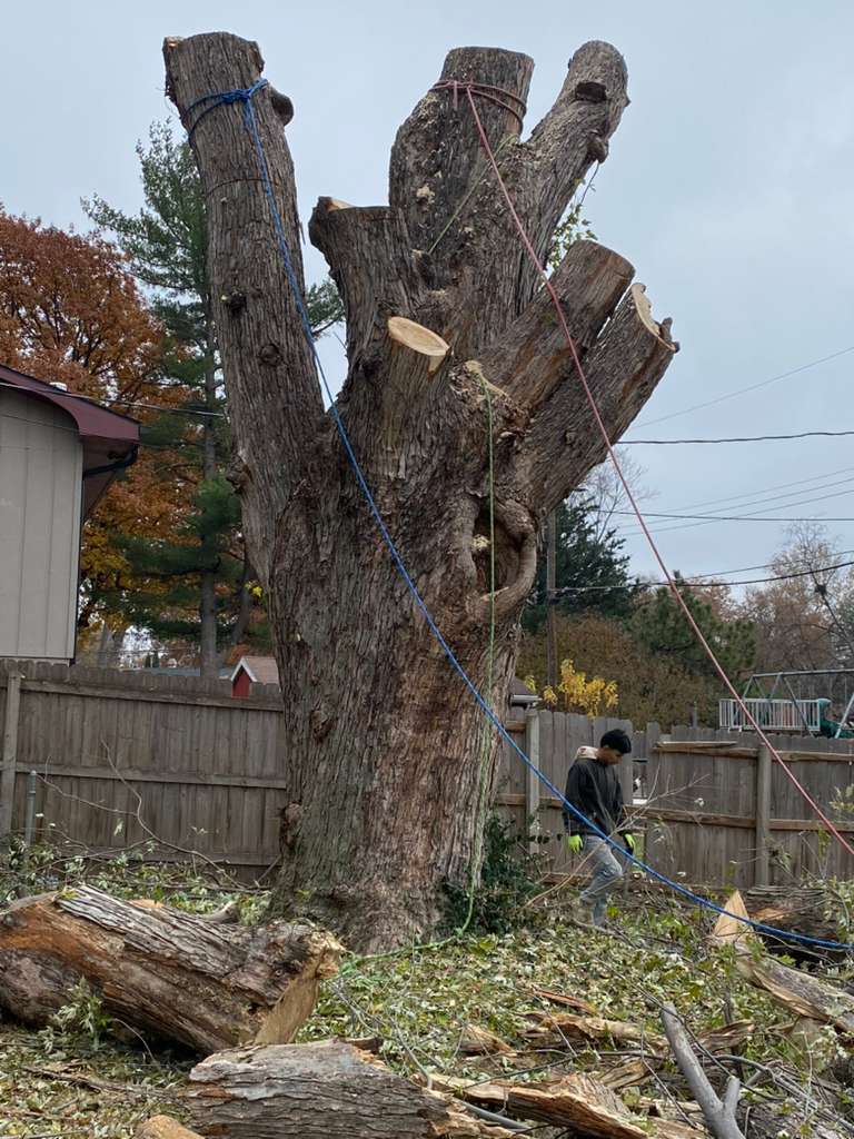 whatsapp image 2026 01 15 at 11.48.32 pm