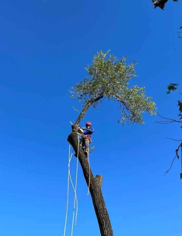 whatsapp image 2026 01 15 at 11.48.38 pm (1)