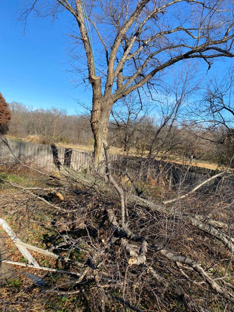 whatsapp image 2026 01 15 at 11.48.38 pm