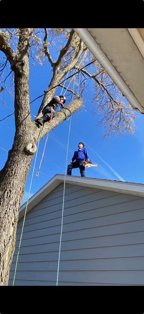 whatsapp image 2026 01 15 at 11.48.41 pm