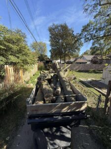 whatsapp image 2026 01 15 at 11.48.42 pm