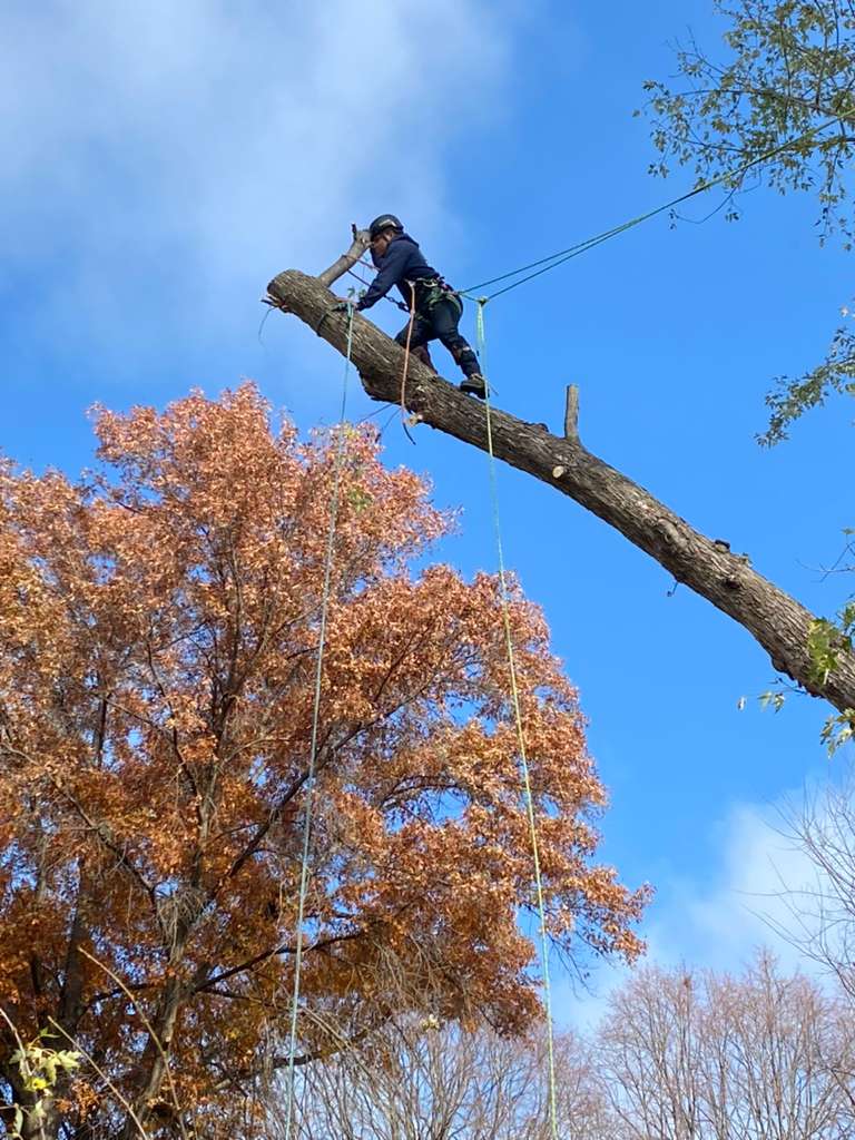 whatsapp image 2026 01 15 at 5.30.58 pm